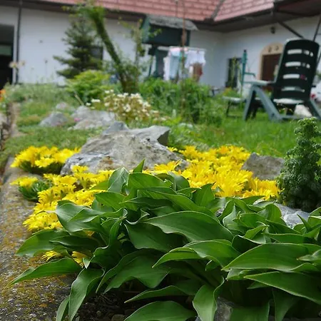 La Ferme De Sissi Apartment Smrzice Exterior photo